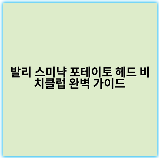 발리 스미냑 포테이토 헤드 비치클럽 완벽 가이드 - 발리 스미냑 포테이토 헤드 비치클럽 관련 가장 중요한 핵심 키워드는
"포테이토 헤드 비치클럽"입니다.