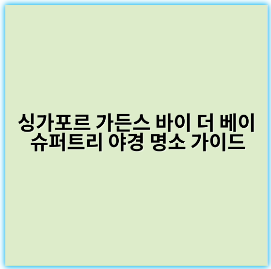싱가포르 가든스 바이 더 베이 슈퍼트리 야경 명소 가이드 - 싱가포르 가든스 바이 더 베이 슈퍼트리 야경 관람의 가장 중요한 핵심 키워드는
"슈퍼트리 라이트 쇼"입니다.