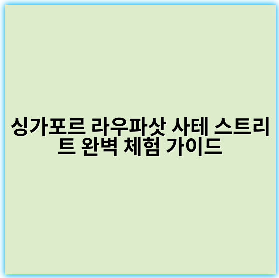 싱가포르 라우파삿 사테 스트리트 완벽 체험 가이드 - 싱가포르 라우파삿 사테 스트리트 체험의 가장 중요한 핵심 키워드는
"라우파삿 사테 푸드 경험"입니다.