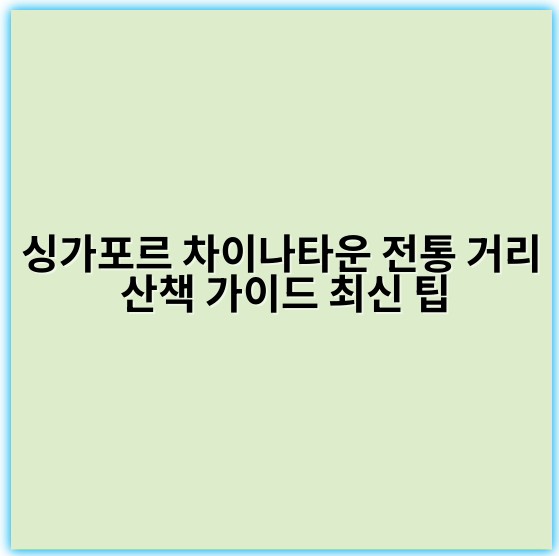 싱가포르 차이나타운 전통 거리 산책 가이드 최신 팁 - 싱가포르 차이나타운 전통 거리 산책에서 가장 중요한 핵심 키워드는 **"차이나타운 전통 문화 체험"**입니다.