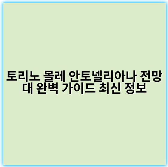 토리노 몰레 안토넬리아나 전망대 완벽 가이드 최신 정보 - 토리노 몰레 안토넬리아나 전망대 핵심 키워드:
"토리노 몰레 전망대"